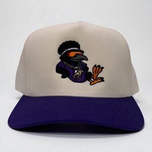 Lounging Raven | White and Purple Snapback | Mad Capper Texas